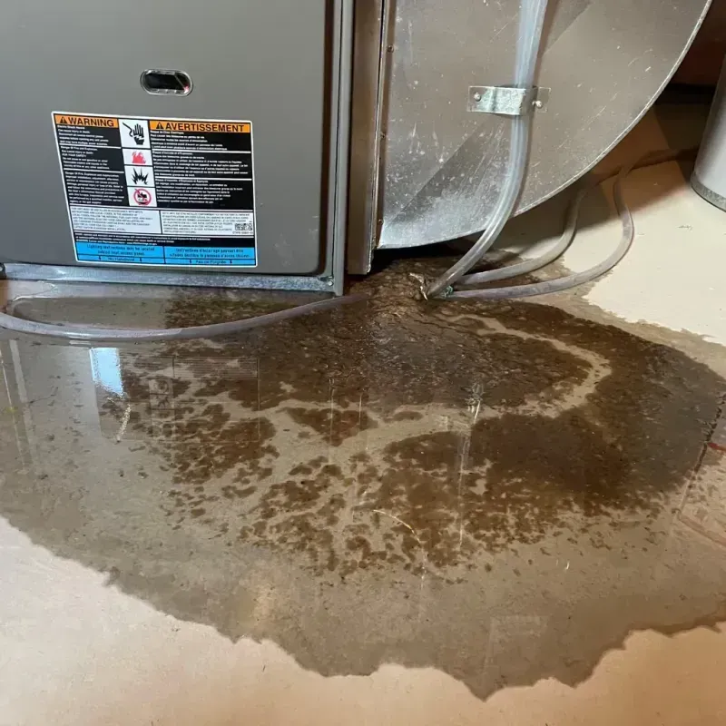 Appliance Leak Cleanup in Wilson County, NC